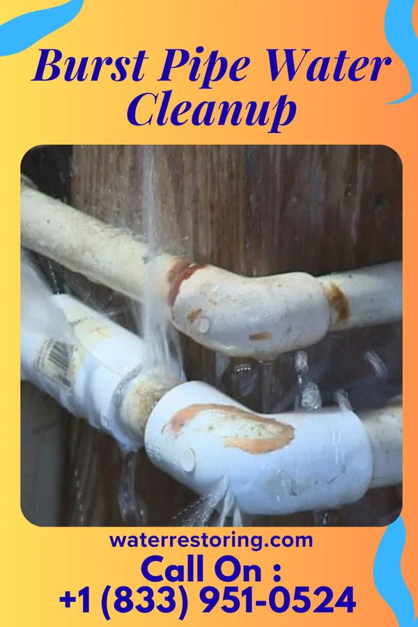 Burst Pipe Water Cleanup in Charleston, SC