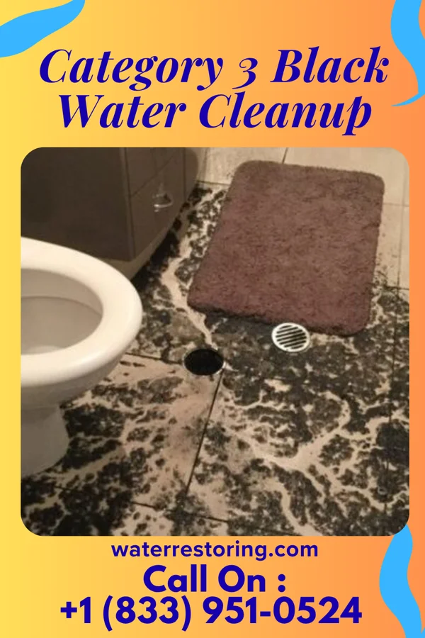 Category 3 Black Water Cleanup in Charleston, SC